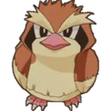 Jibwrite
