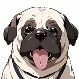 IMPUG