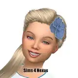 sims4nexus