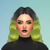 toxxicsims
