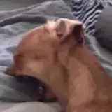 mraa