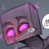 endertwinks