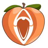 AshVenit