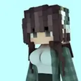 avalanchminecraft